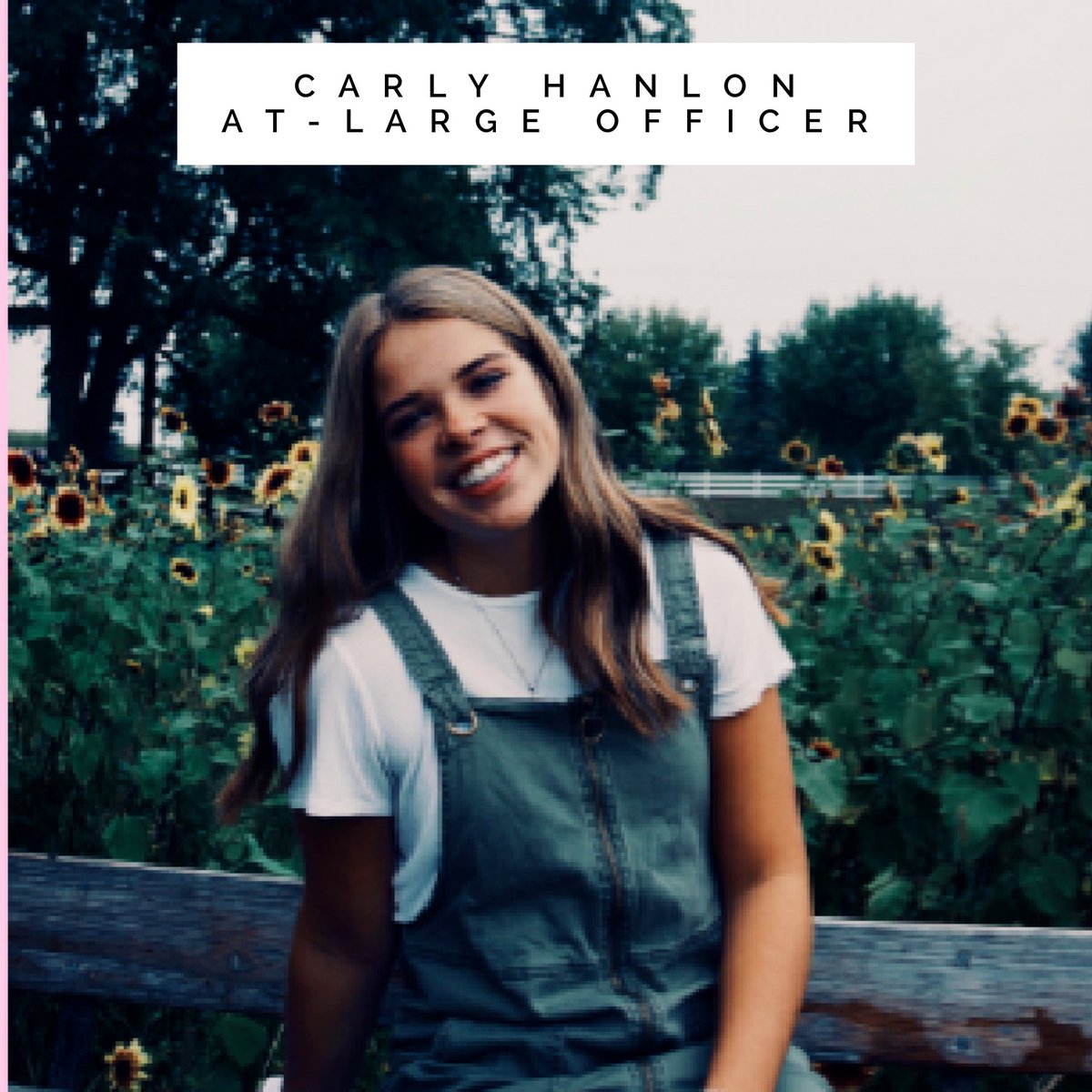 Zimmerman Thunder tweet media