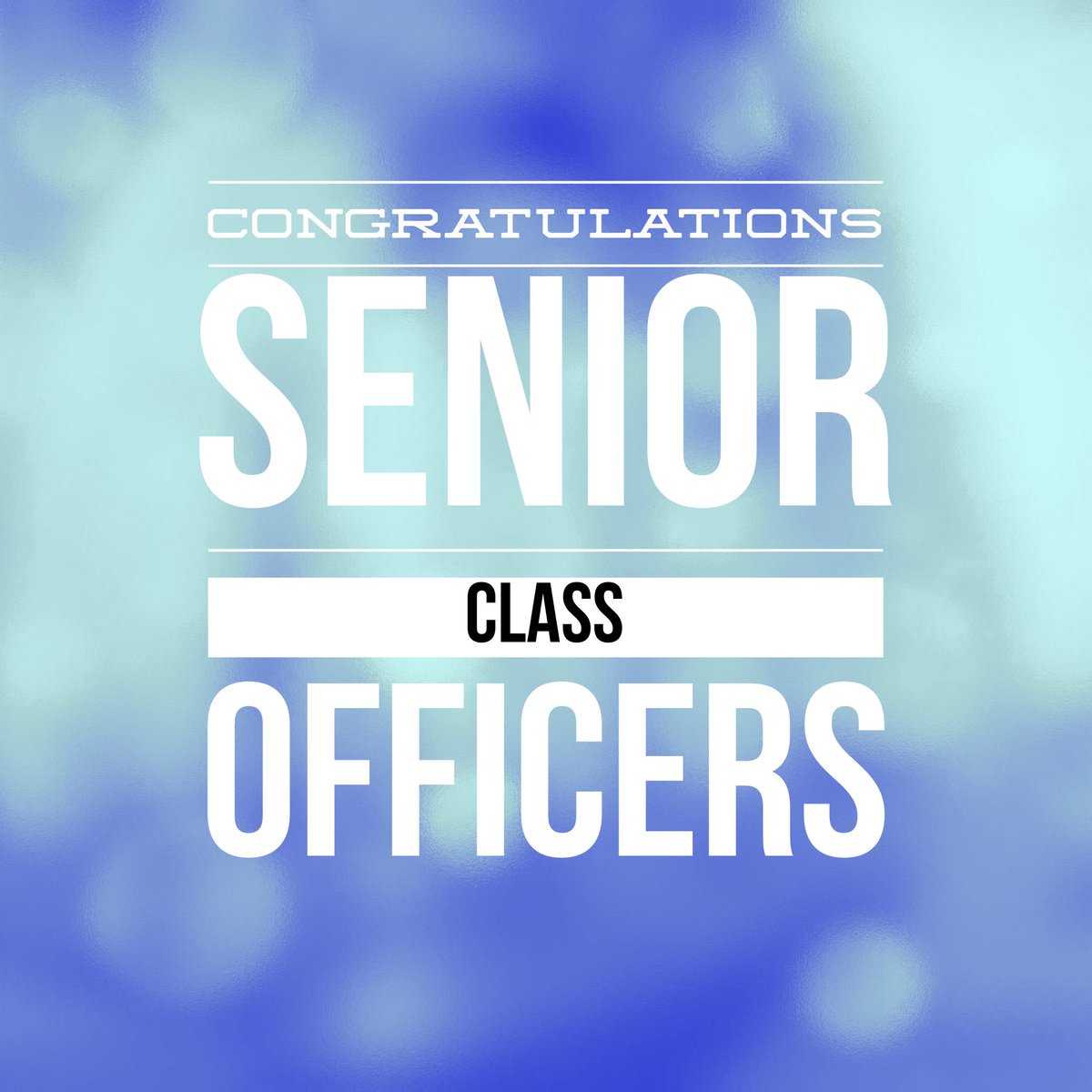 Zimmerman Thunder tweet media