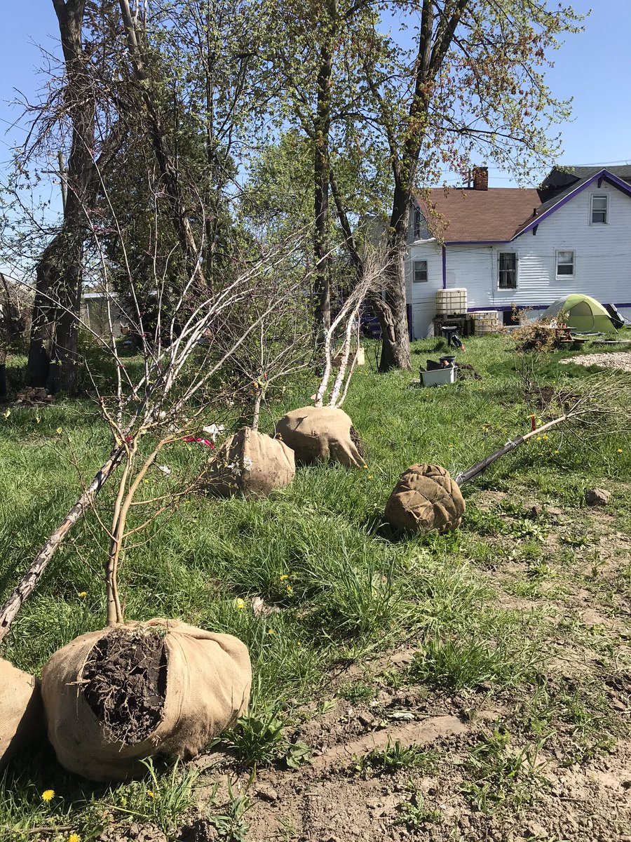 ANV_Detroit's tweet photo. Thank you to our Village Building volunteers this week who helped us complete our raised garden beds and helped us cover our newly donated trees and plants to protect them from this morning’s frost! #ItTakesAVillage #AuntieNasVillage https://t.co/PcoXQhLy3s