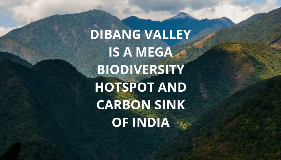 Research in Dibang Valley including areas which will see impacts of Etalin project shows that this region is critical habitat for Schedule I endangered species including tigers & 50+ mammal species, 430+ bird species @moefcc
#StopEtalinSaveDibang #SaveArunachalBiodiversity