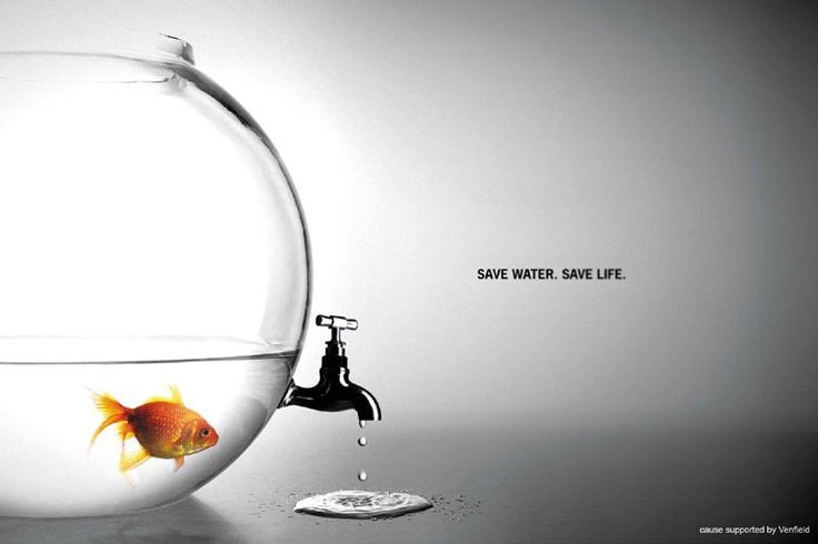 marketing_birds's tweet photo. Save water. #SaveLife 🙏💧🐠 https://t.co/unbJHMI3dS
