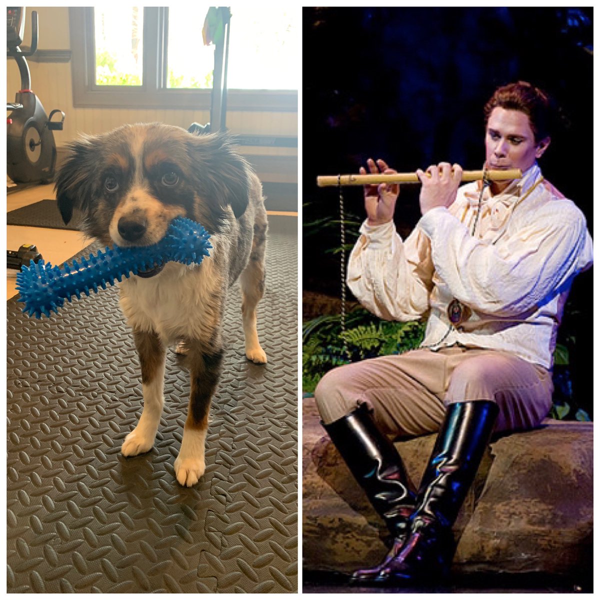 theoperadogs's tweet photo. Nowhere in my contract did it say I ACTUALLY had to play the flute for this role...

#guestpost by @kirstenmezzo ❤️

📸 @FGOpera | @kirstenmezzo https://t.co/XvKPGZa9cv