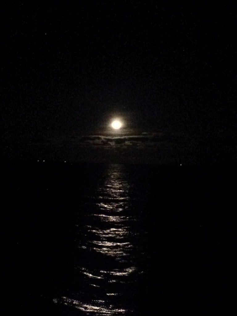 jjohnrsc's tweet photo. The moon is so bright 🖤 #jjohnrscph 📸 https://t.co/UE6ytqka7D