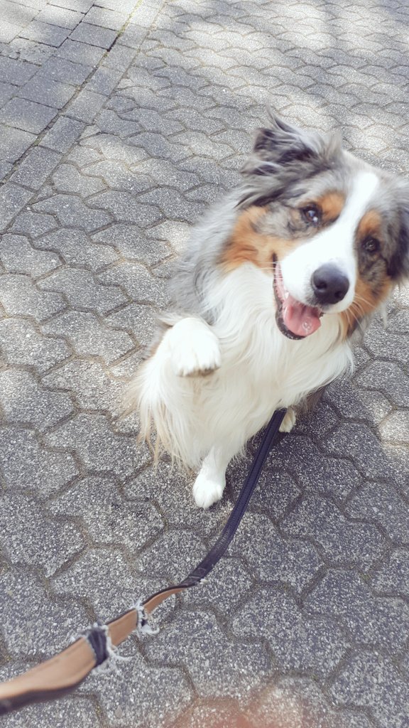 Chigi 🐢 tweet media