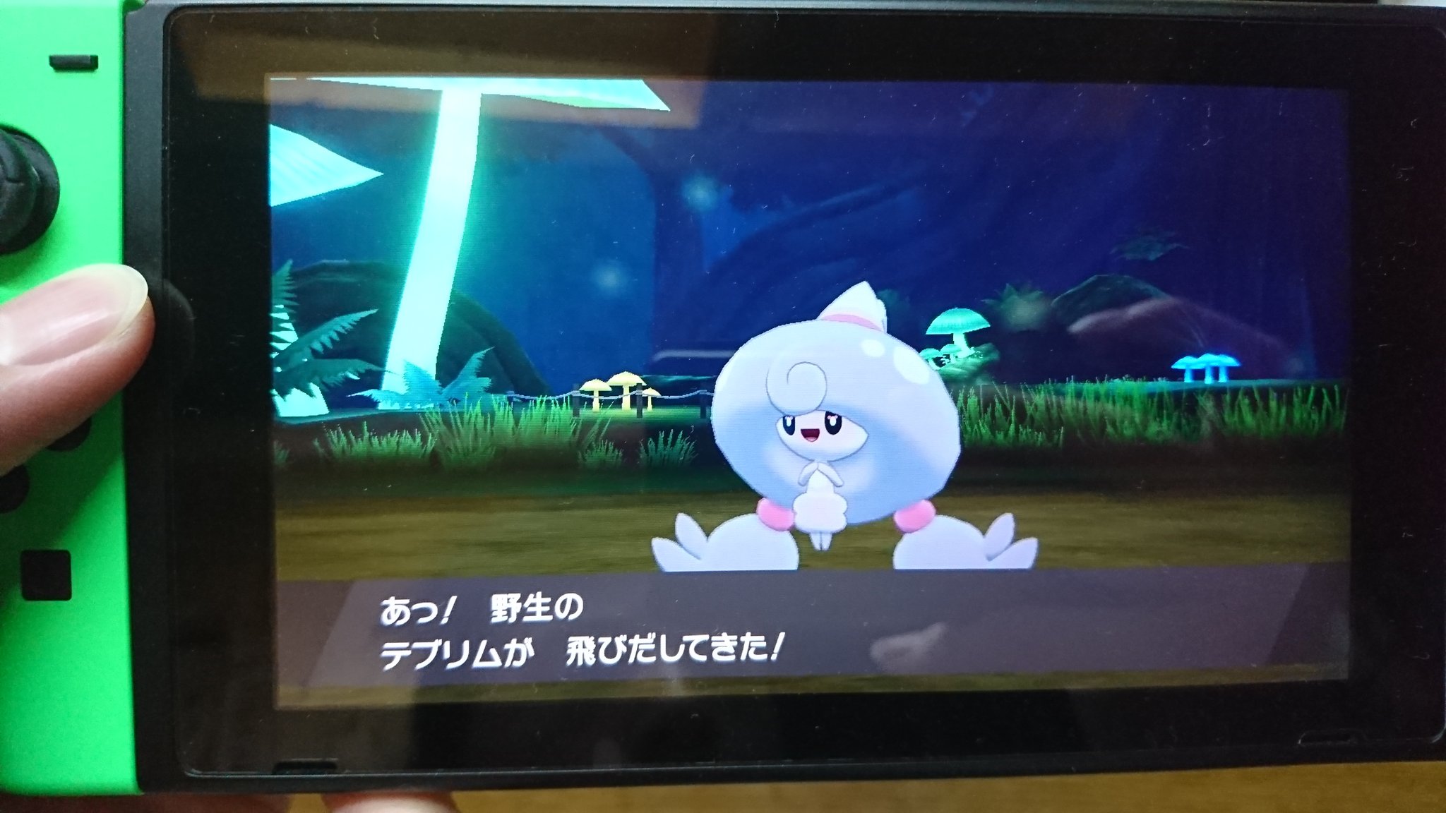 中野丗 D セイマ ポケモン剣盾 ヤバチャ真作色違い奮闘記 現在ヤバチャ総討伐数0体 本日ヤバチャ探索時間2時間 1000体目までには出て欲しいですね ポケモン剣盾 ヤバチャ真作色違い 本日の副産物