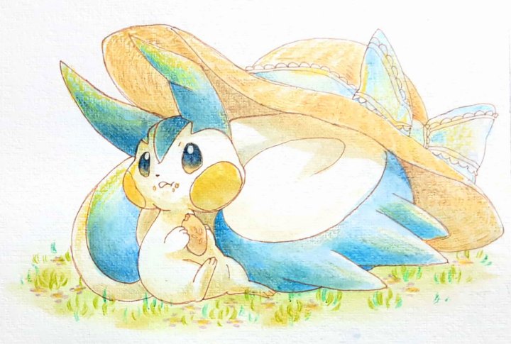 こんぺいとう Conpeitou3658 Twitter