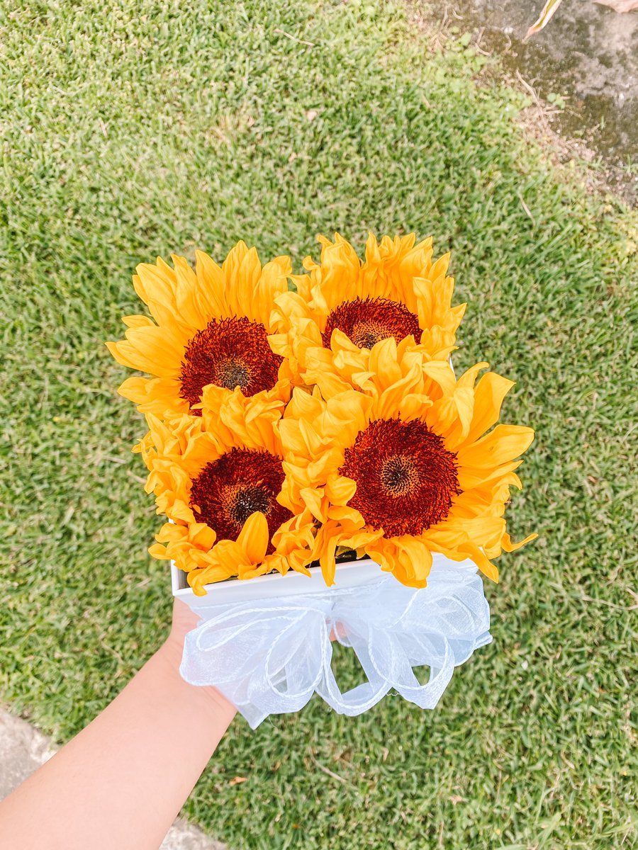 _craftella's tweet photo. In love with this sunflower box 🌻🌻🌻 https://t.co/aBcBzd2081