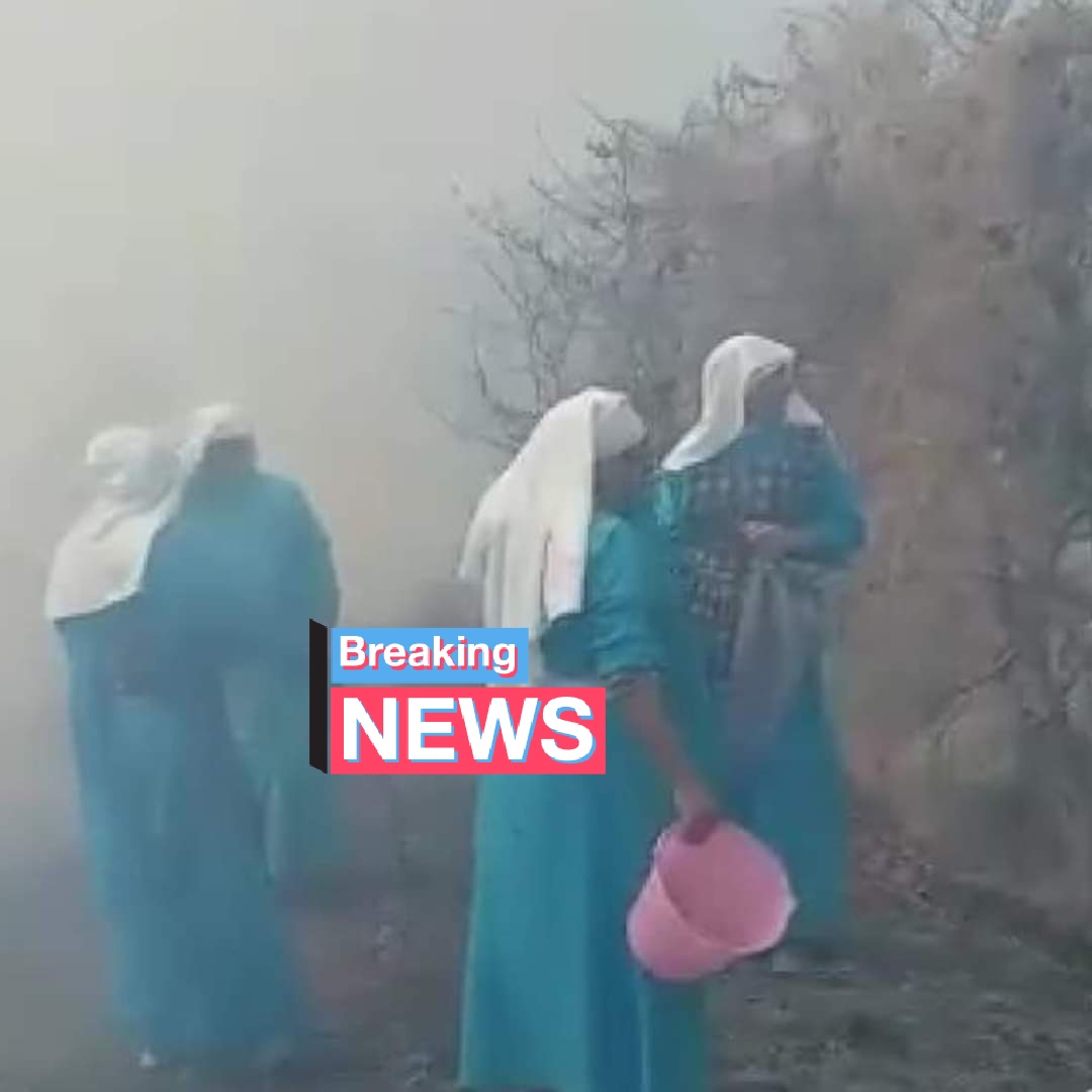 edgar545's tweet photo. Monjas de Acapulco #Guerrero, con lo que pueden ayudan a sofocar incendio. Tan solo en #Guerrero existen dos brigadas de @CONAFOR para los 81 municipios. @lopezobrador_ que envíe a la titular de #Economia y sus conocimientos de contabilidad. #Sin4T #Incendios https://t.co/OcORBebXrc