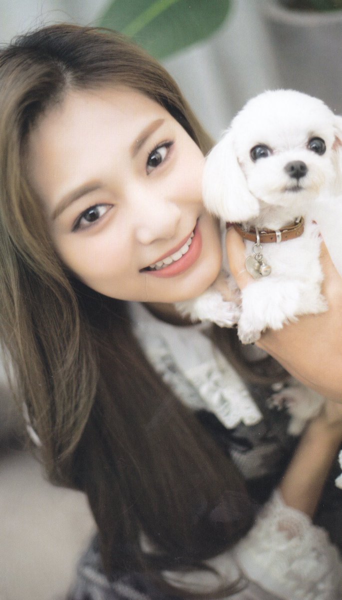 NORMAN_BROYT's tweet photo. TWICE  Tzuyu  チョウ・ツウィ
周子瑜  쯔위  TZUYU X Dicon

#쯔위 #ツウィ #子瑜 #Tzuyu
#TWICE     #트와이스 https://t.co/y8OJ9yP7sx