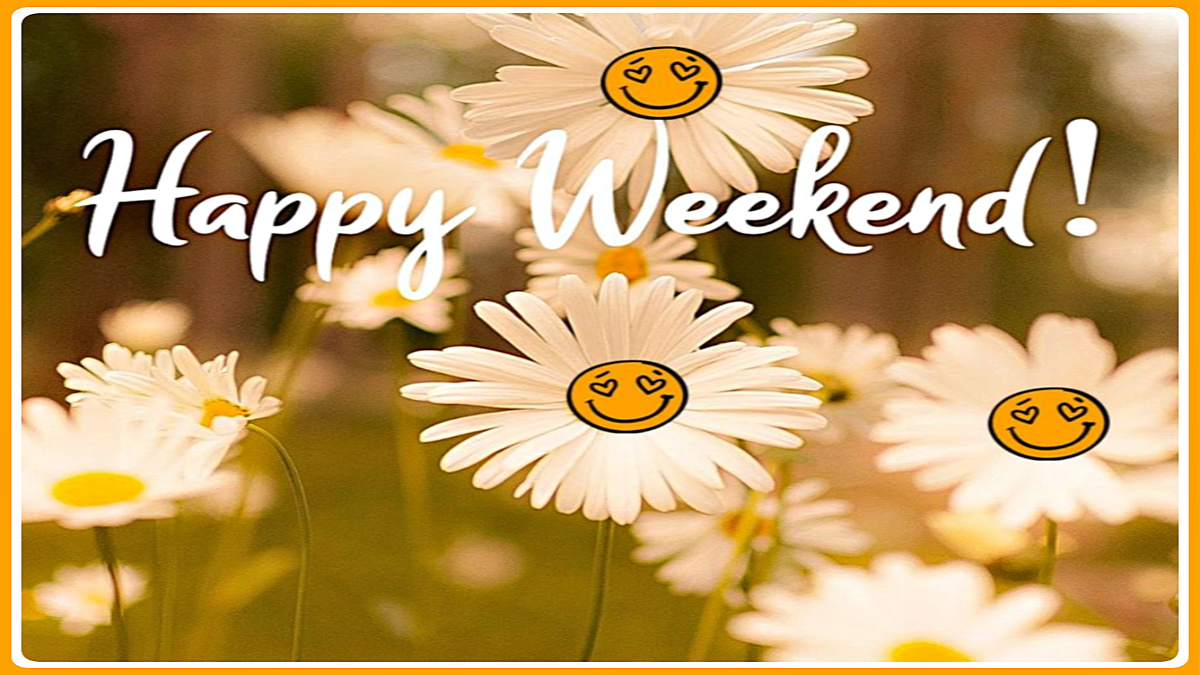 monkey_tables's tweet photo. Happy Weekend Everyone! We hope you have an awesome day! #HappyWeekend #HappyWeekendvibes #saturdayshoutout 😎 https://t.co/yw9P9JJn1H