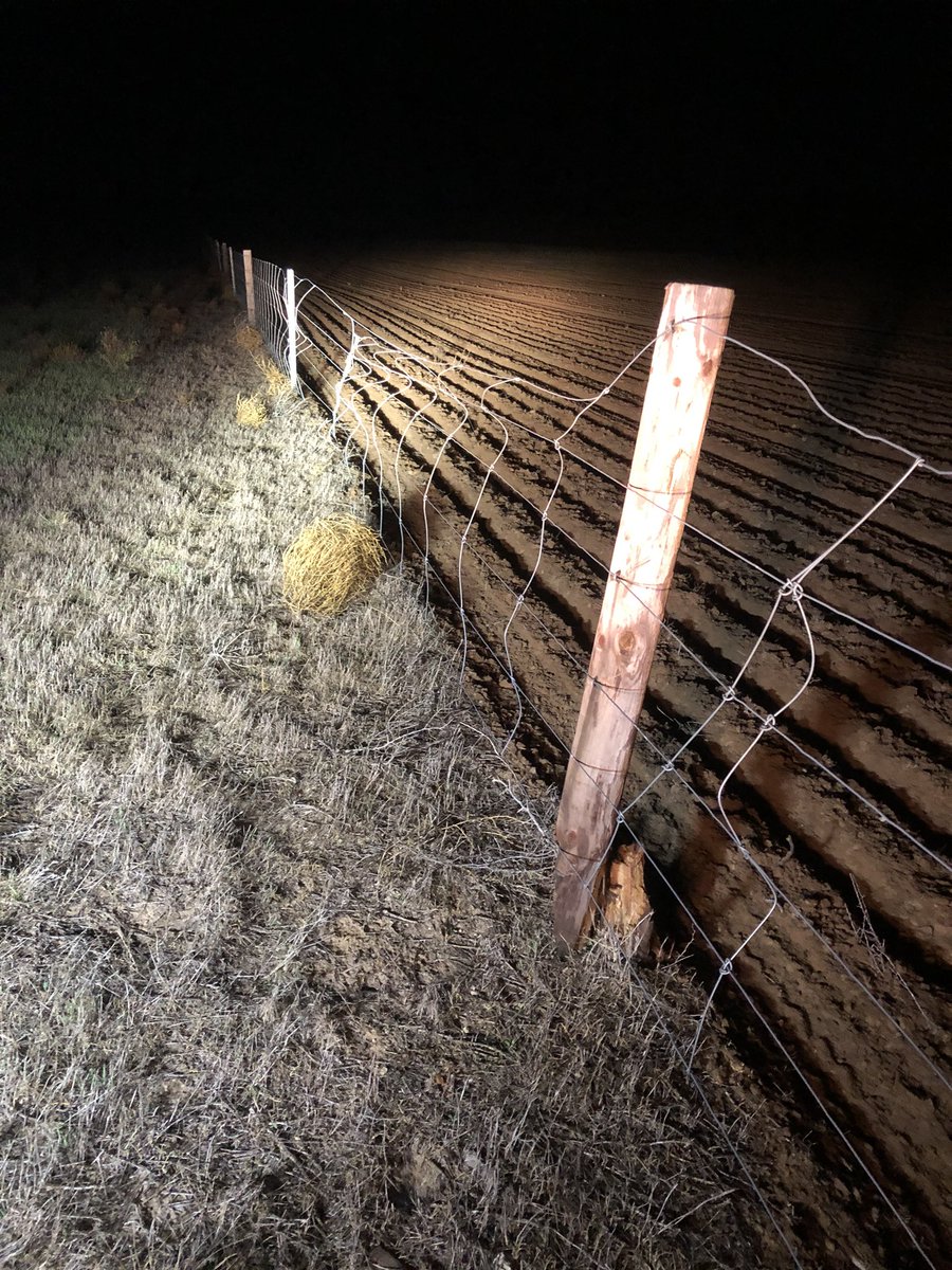 Shane_Jericho's tweet photo. @DanSchilling89 @Adam_schmidt44 @alexcant1 @AlexGrove680 @Shipy86 @PearsonBrodie @JaidenNottle @PengelleyNick I’m now banned from the seeder 🤦‍♂️ Fence wasn’t straight on the other side of the highway🤷‍♂️ https://t.co/is8ojyynRz