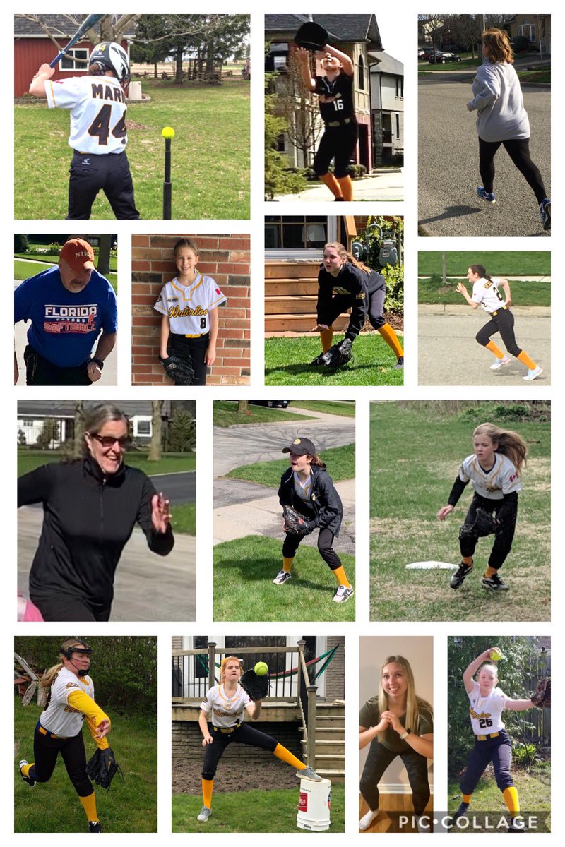 WlooU12Gold's tweet photo. We’ve been working hard and dreaming of diamonds since yesterday would have been the start of our League Opening weekend.  Can’t wait to put it all together as soon as it’s safe. https://t.co/Y3TgmXrkpi