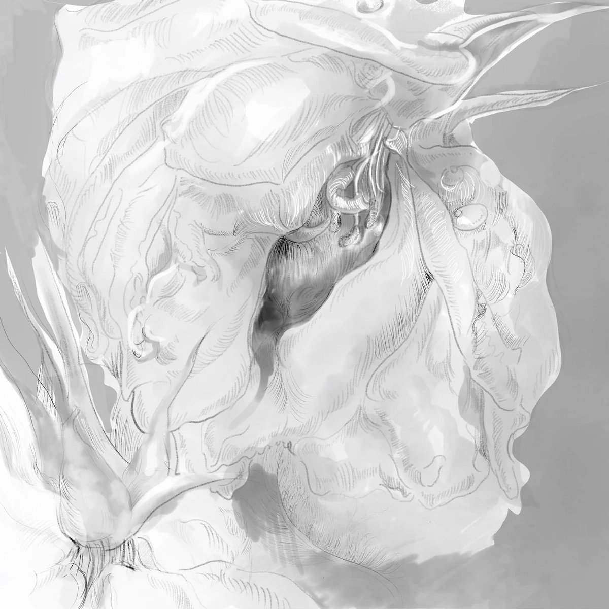 angel_run_'s tweet photo. #2020spring
#白薔薇
#新雪
#らくがき
#落書きアート
#instalike
#アート
#イラスト
#drawingart
#artist
#draw
#drawing
#art
#illustration
#illustrator
#クロッキー
#デッサン
#素描
#絵画
#線画
#バラ
#薔薇絵
#flowerstagram
#artcollector
#artgallery
#artwork
#artistry
#2020 https://t.co/ISQMSHYMCe