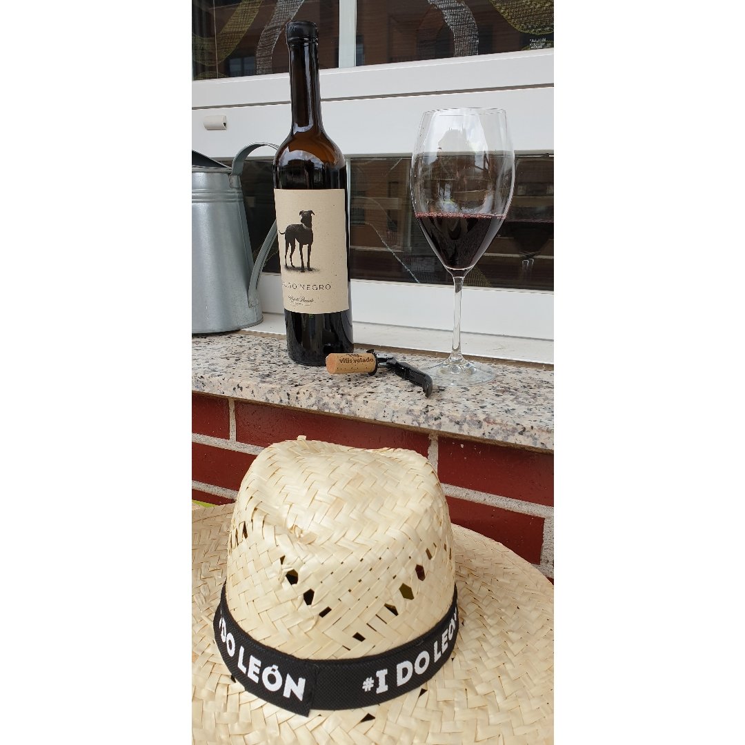 vitisvelado's tweet photo. #BrindisMovimientoVinoDO con #vino de la @CRDOLEON #Albarin #prietopicudo #winelovers #CanallaRose #Albaricus #GalgoNegro SALUD para todo el mundo. #AnimoySalud💪🍷 https://t.co/ad9FUj6WbB