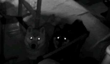 Namekiti84さんのイラスト一覧