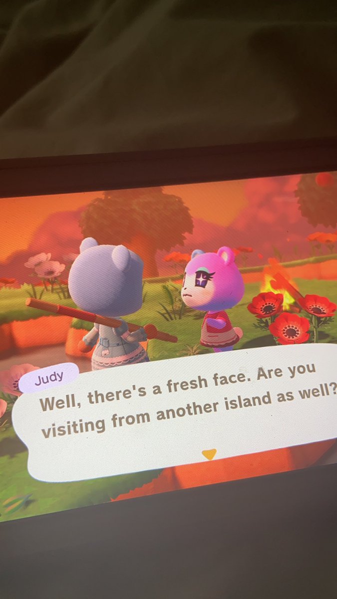 dan_han123's tweet photo. went looking for Octavian and found Judy! would anyone be interested in taking her if I moved her in? #acnhtrade #acnhvillagertrades #judyinboxes #judy #acnhtrades https://t.co/kRE5pnJNhi