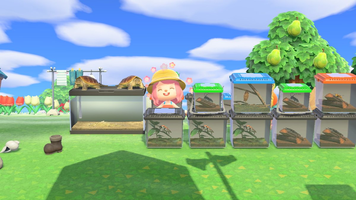 MAOMAOBA's tweet photo. #动物森友会 #AnimalCrossing #ACNH #NintendoSwitch https://t.co/9DFT7AGm00