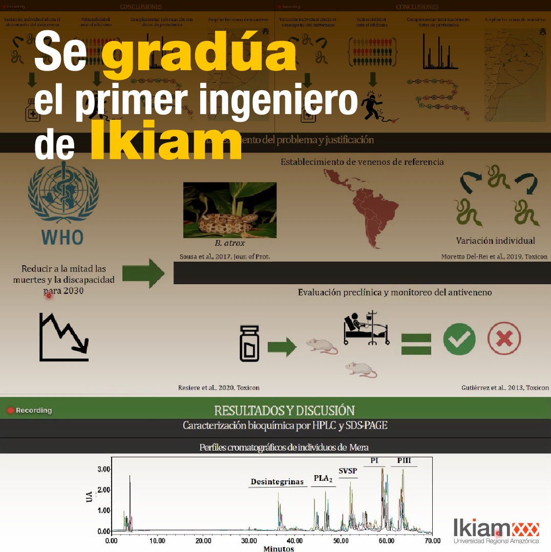 u_ikiam's tweet photo. Luego de tres publicaciones científicas y una tesis de aplicación médica, se graduó el primer ingeniero de #Ikiam.

Felicitamos a Ricardo Palma Patiño @RicardoSPalma,  ingeniero en Biotecnología, quien presentó una tesis "a nivel de maestría". 

Info.👉https://t.co/g2hAMlKwxU https://t.co/79EWt4oECN