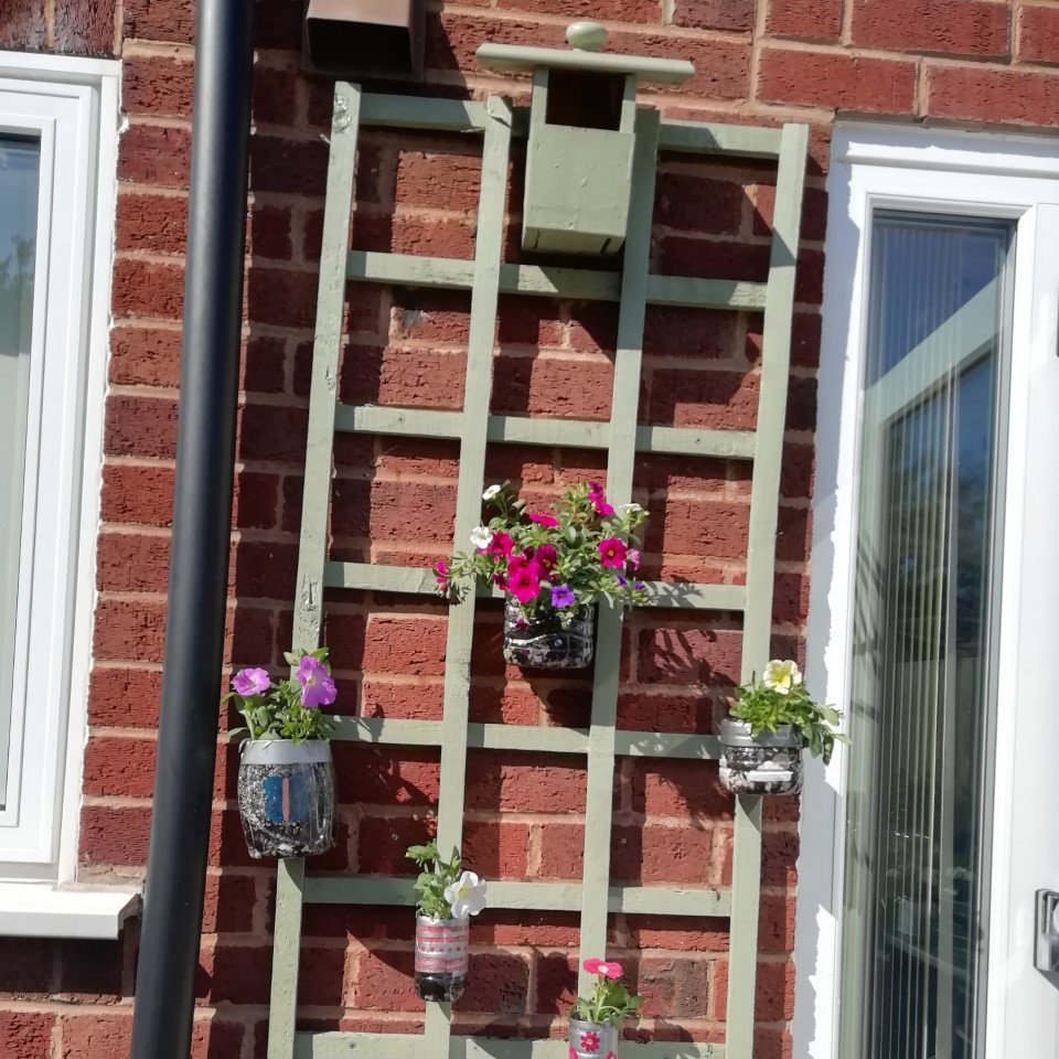 sci_summerhill's tweet photo. Turn your plastic water bottles into beautiful plant pots - and instead of throwing away old furniture, turn it into a new home for birds! https://t.co/cufDivUizn