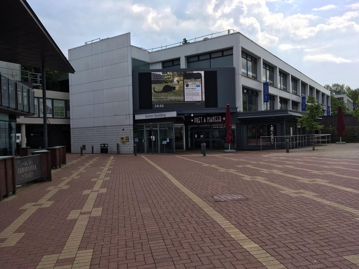 Rolf the University of Warwick Campus Cat tweet media