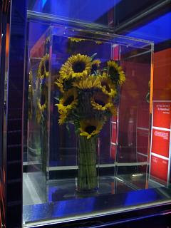 davepatten's tweet photo. Museum photo of the day - Marc Quinn's Eternal Sunflower #MuseumPhotoOfTheDay #ScienceMuseum #TalkinigPoint #contemporaryScience #WellcomeWing #SMAP #art #SunFlowers #MarcQuinn #eternalSunflower
@sciencemuseum https://t.co/scZsHi5uyT