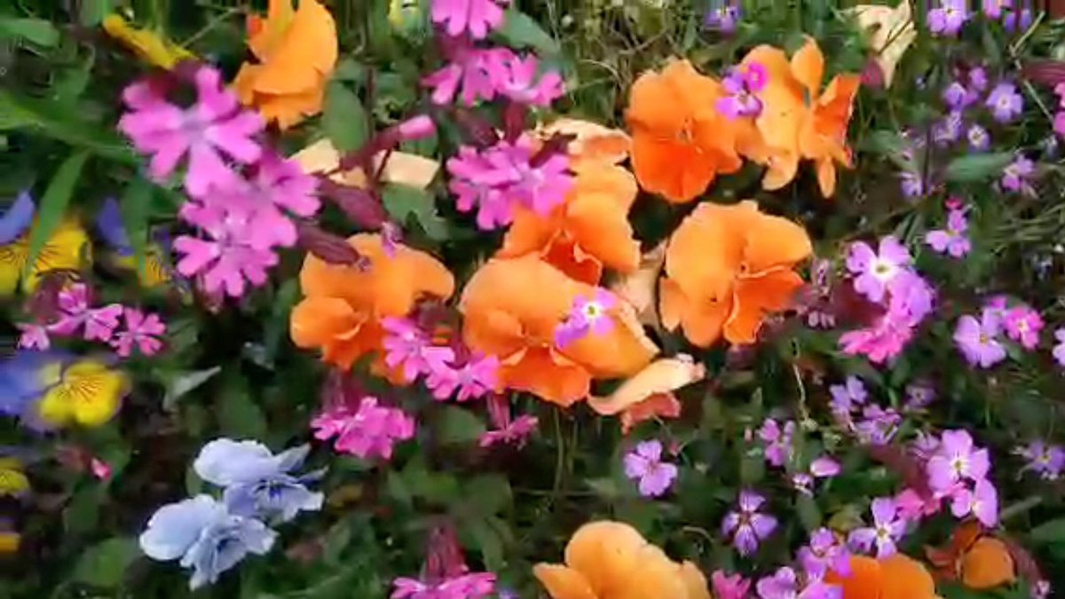 lili_skyline's tweet photo. What a color palette! #promende with @naisuguy7  Saturday evening stroll in the park 🌺💐🌹 Tokyo Japan 🗾🇯🇵 18°C 64°F ☁️💨

https://t.co/Xr0yC4RZ7O https://t.co/bzmgruUtJ7