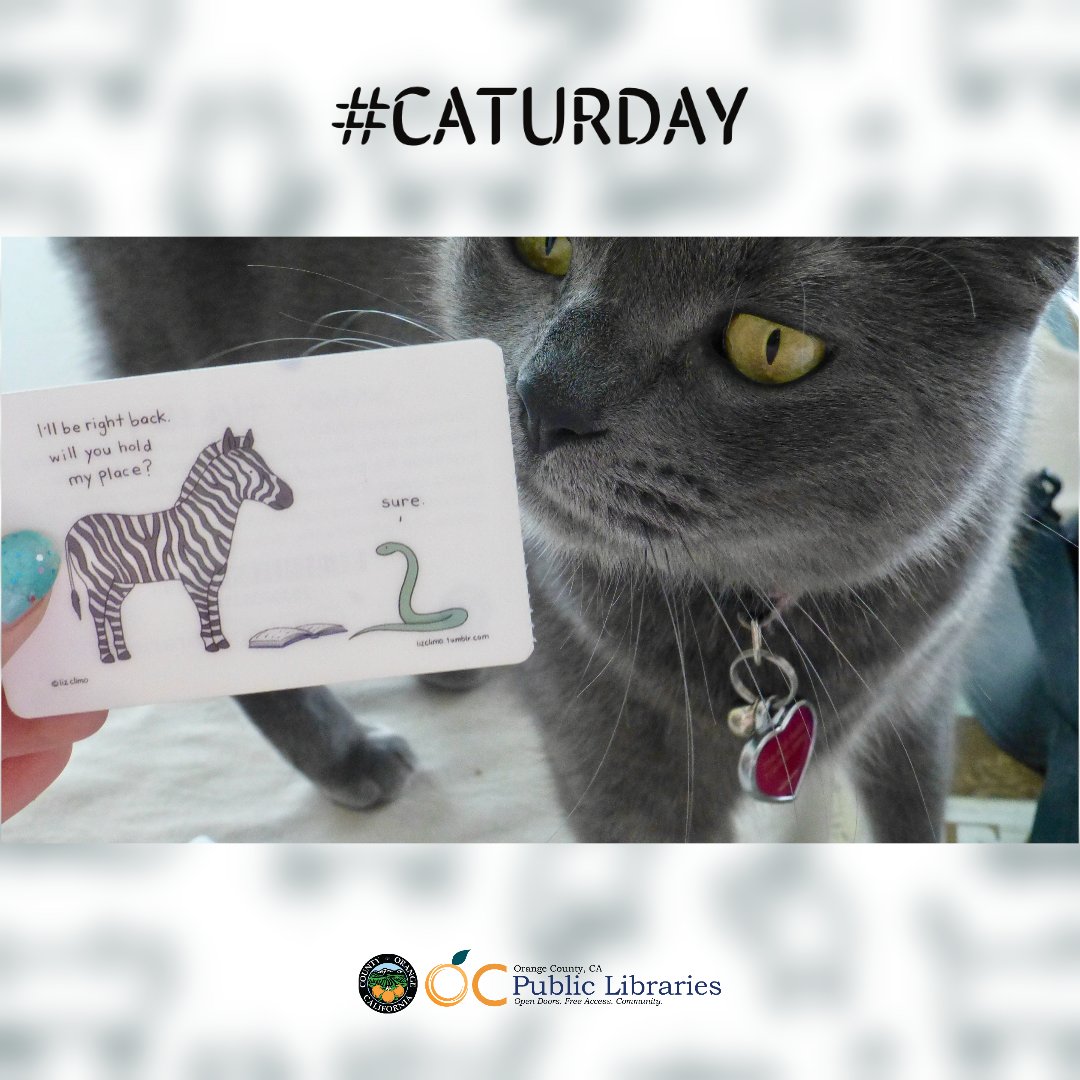 ocpublib's tweet photo. #Caturday
Don't have a Library Card? Meow is the time to get one!
Sign up for an eCard at https://t.co/0fNv36rhgl
#ocpl #ocpubliclibraries #orangecounty #safeathome #librarycard #travelinglibrarycard #oc #saferathome #stayhome #librariesofinstagram #librarycats #cats #meow https://t.co/HFrswZ1aER