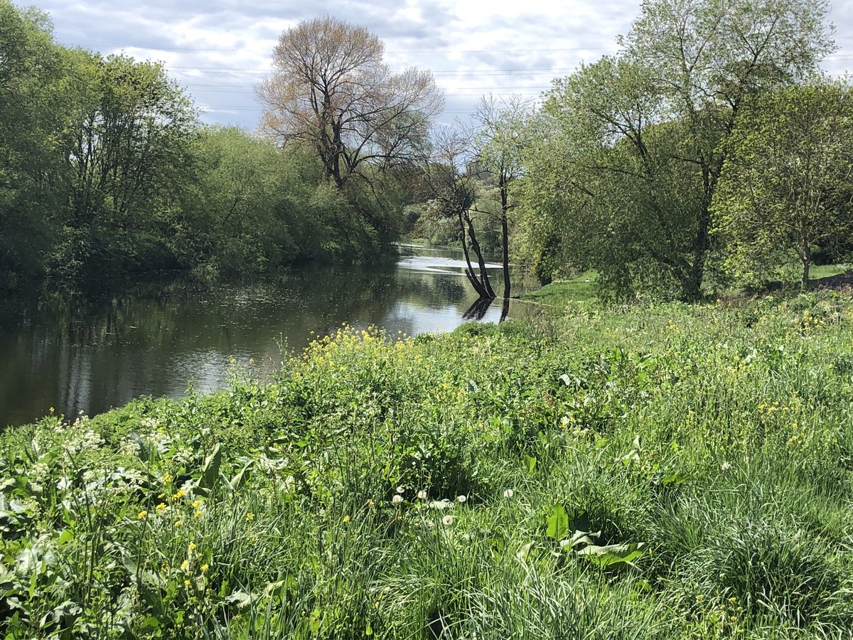 Jeff Winter tweet media