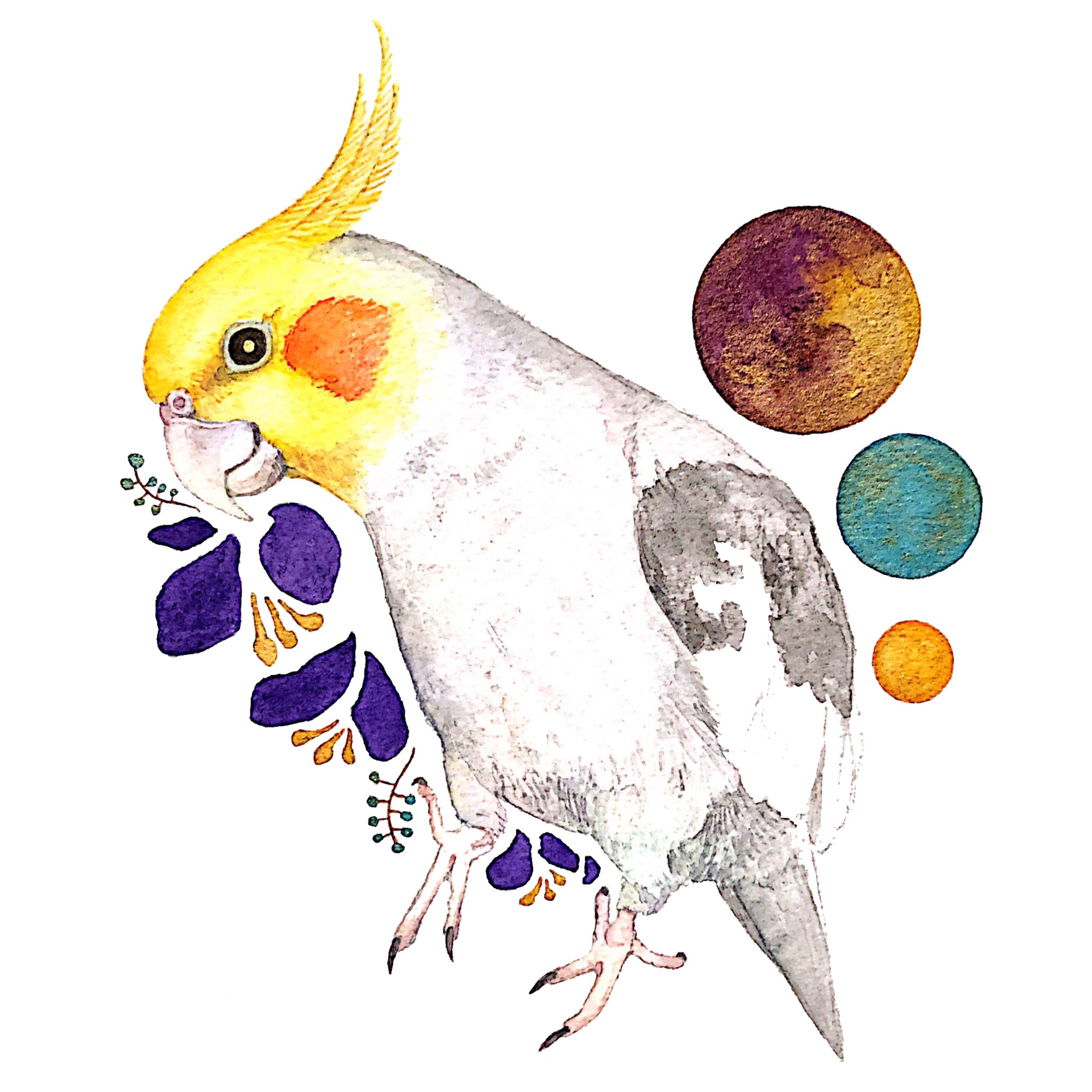 美澄 愛鳥さんの似顔絵オーダー受付中 3作品完成しました 可愛いインコちゃんとオシャレなデザインでまとめられたと思います 鳥 水彩 水彩画 水彩イラスト インコ オカメインコ コムラサキインコ ベニガオメキシコインコ T Co