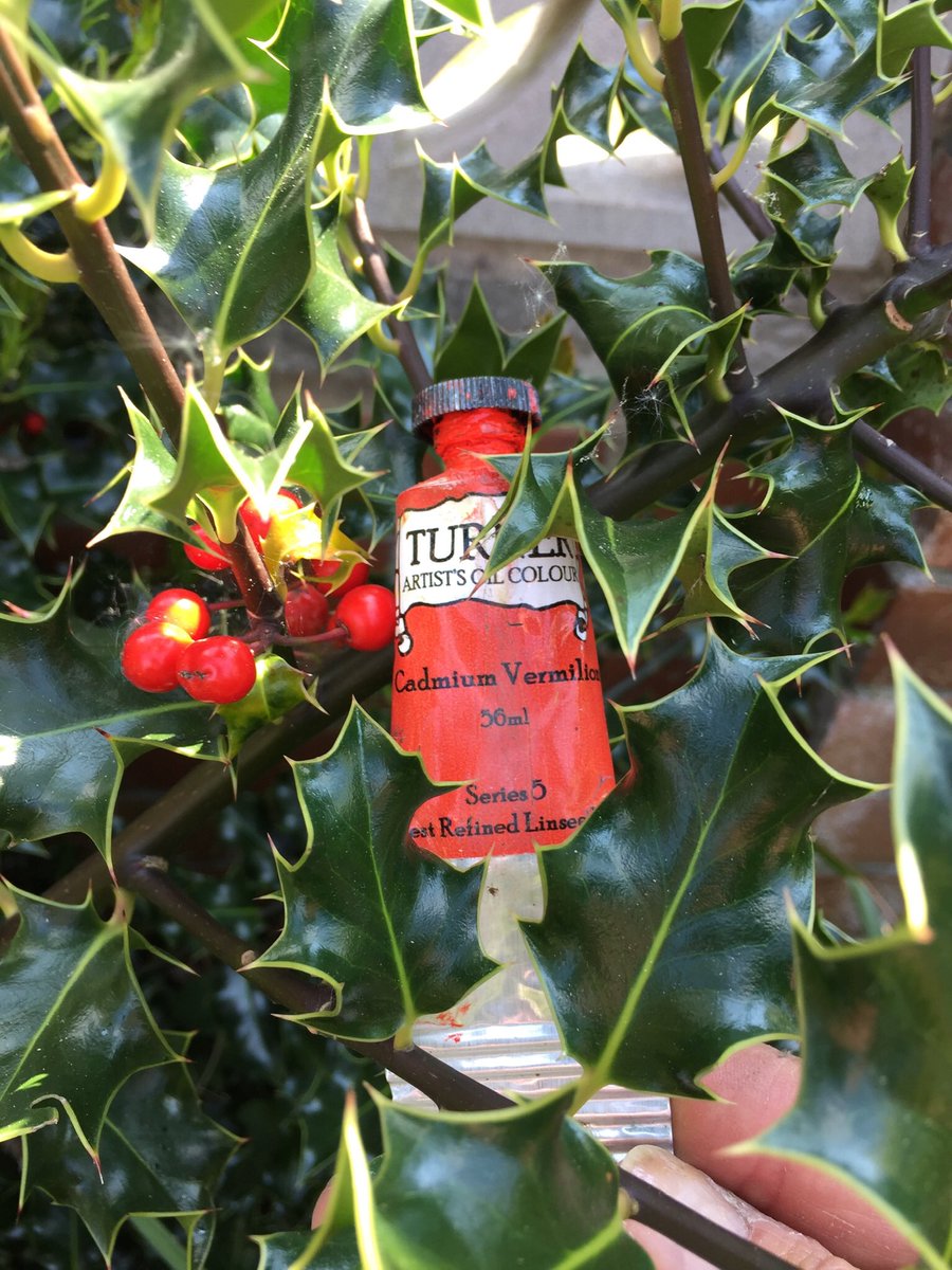 TurnerColours's tweet image. Still looking like #Christmas with the holly, but look at that #warmred of the berries such a perfect match with #turnercadmiumvermillion #cadmiumvemillion the joy of #oilpaint #turnerartistcolours #turnerartistoilcolours #waltonhall #warrington #cheshire #uk #for making #art