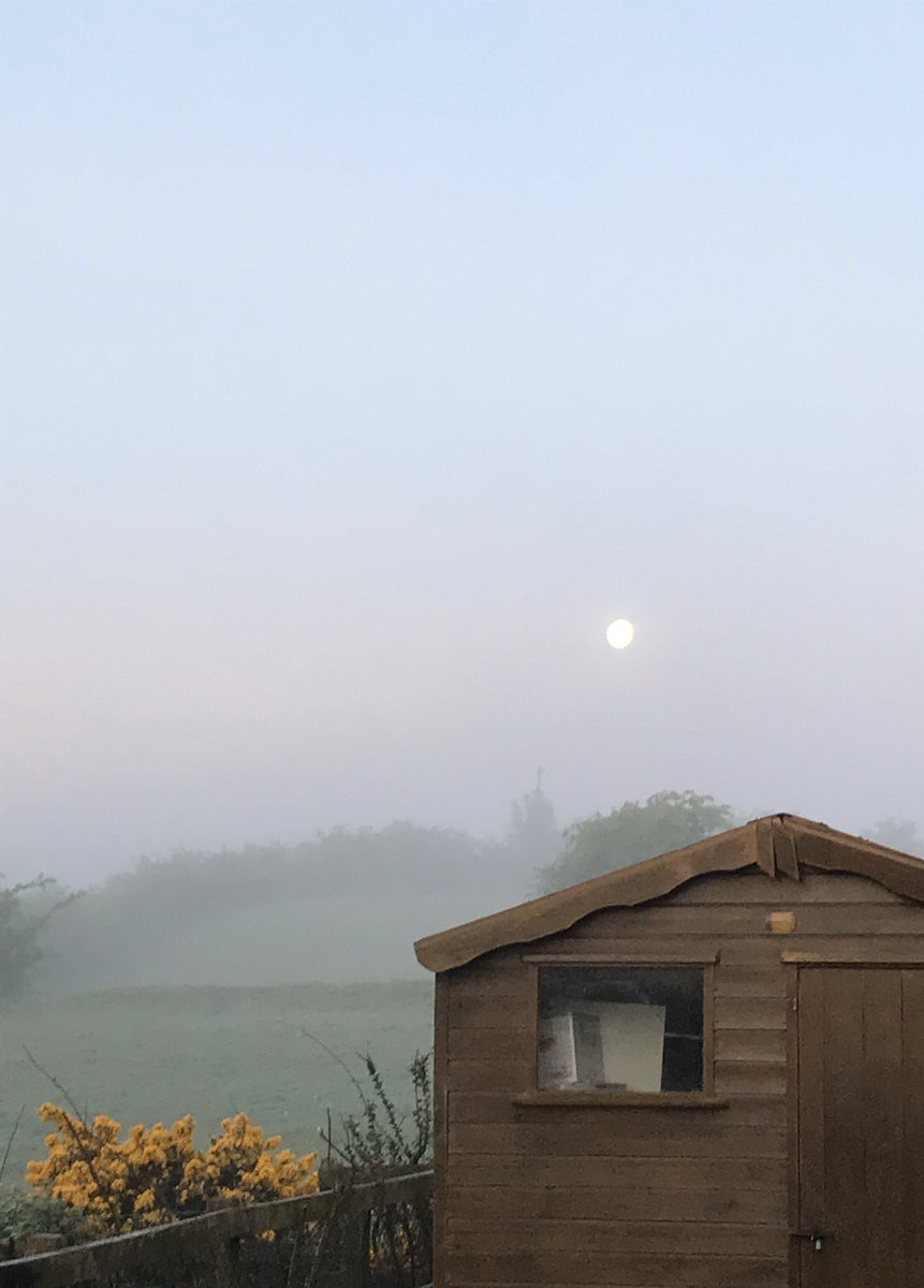 HusseyDon's tweet photo. Taken this morning for #DarknessIntoLight https://t.co/TdWtS7VXKv