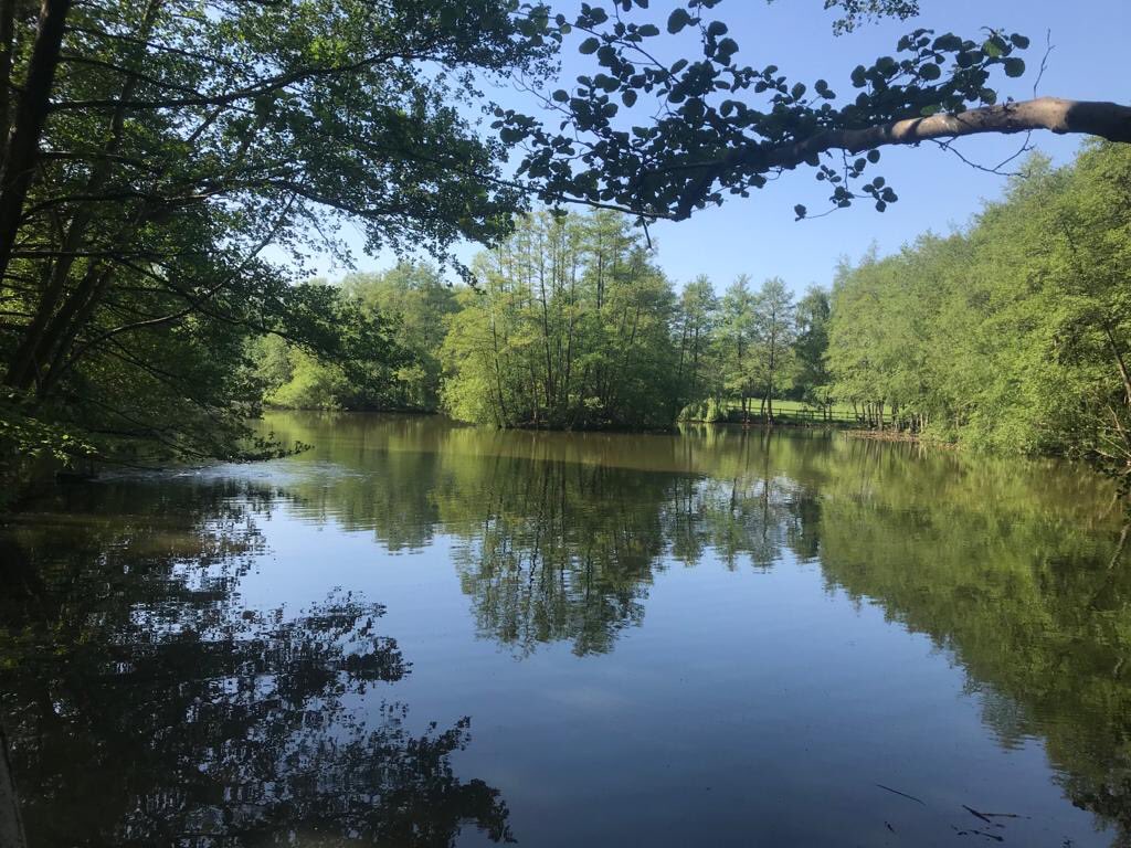 Bentley Fishery (@bentleyfishery) on Twitter photo 