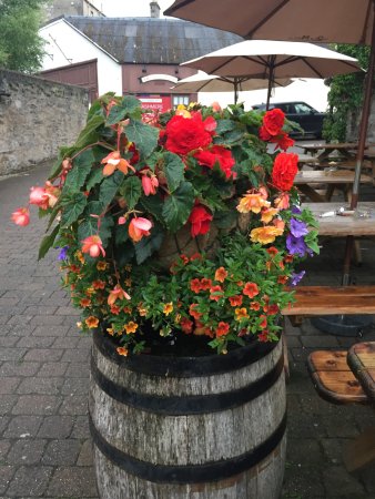 teamhaig's tweet photo. Additional Flower Ideas for your Patio https://t.co/EVFT43y3er