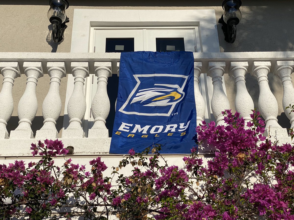 Fran Nachlas tweet media