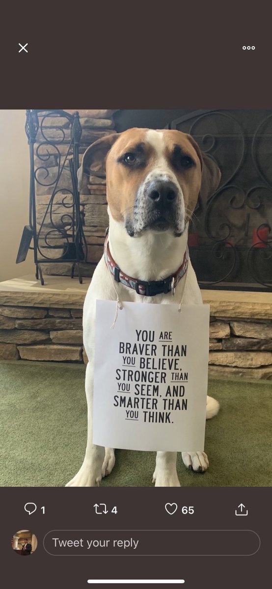 Hey <a href="/funnyordie/">Funny Or Die</a> ask Will Ferrell if he would give a speech to my graduating seniors. I named my dog after his character. That’s got to count for something. Evidence in attached pics! 

PLN please give me a retweet.