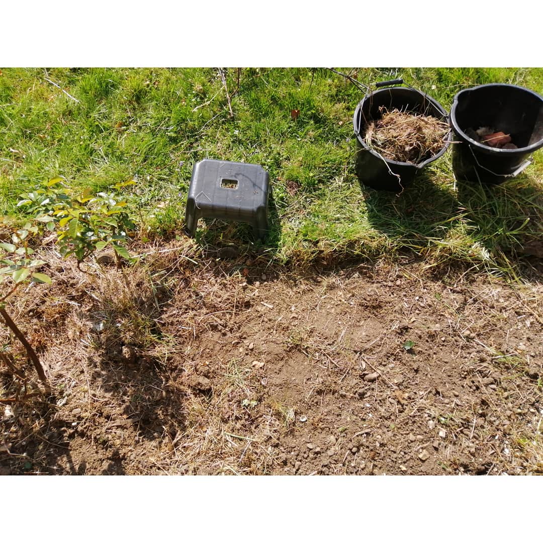 na_okon's tweet image. Tackle weeds which have been taken over the front boarder. 🛡️⚔️ #fourdaysproject 
#willcomeback
#garden
#weeding
#patience
#satifying
#最後は無表情