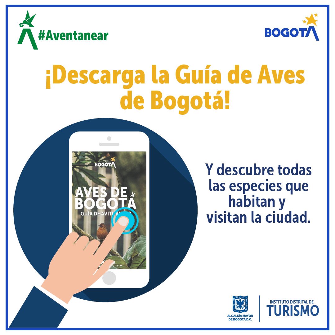 ¿#SabíasQue | Bogotá cuenta con una Guía de Aves? Conoce todo sobre las especies que se encuentran en la ciudad. Descárgala en el siguiente enlace: 👉bit.ly/2WP3jPO #aventanear @KrolFajardo