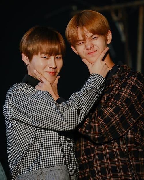 애기셍 tweet media
