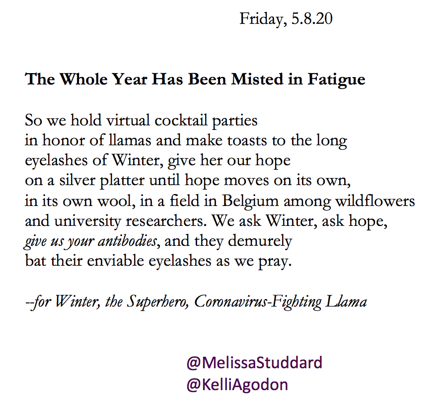 MelissaStuddard's tweet photo. "We ask Winter, ask hope,
give us your antibodies"
--Co-authored with @KelliAgodon
Inspired by the @nytimes article by @jilliankramer
https://t.co/LLd0x124J6
#dailywave #COVID19 #poetry #PandemicPoems https://t.co/EsZH4zDRaT