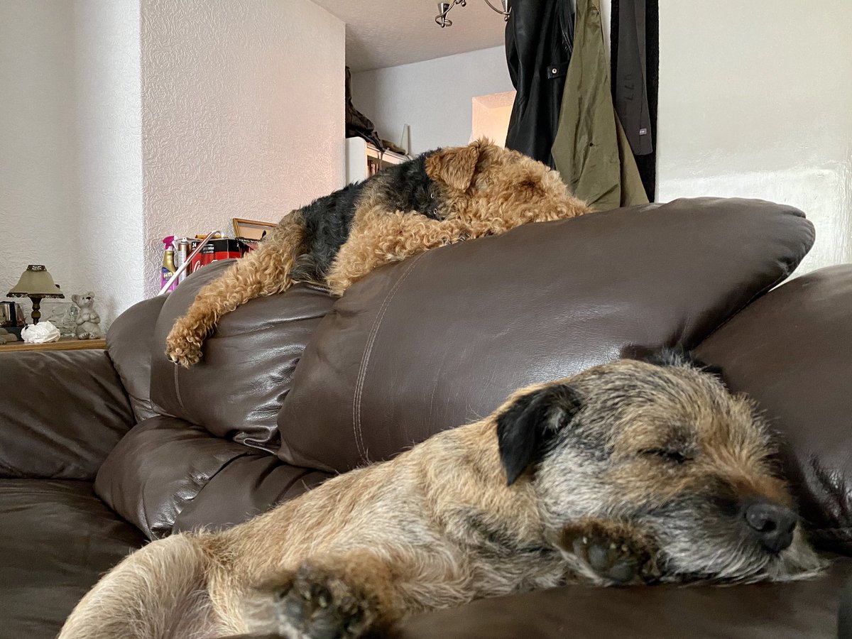 Bulwellian's tweet photo. Ramsey and Archie both fast on https://t.co/aQpFsGBL0i