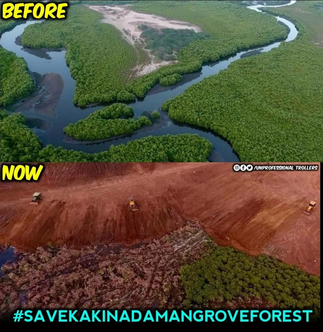 NNagarjunapu's tweet photo. #savecorangi https://t.co/cIFnEg4VFL