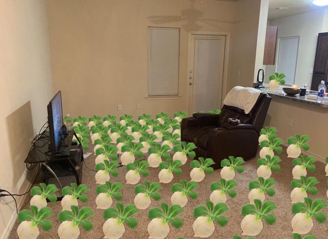cal_gif's tweet photo. Dudes will really live in an apartment like this and don’t see any issues https://t.co/iuswjIXt2F