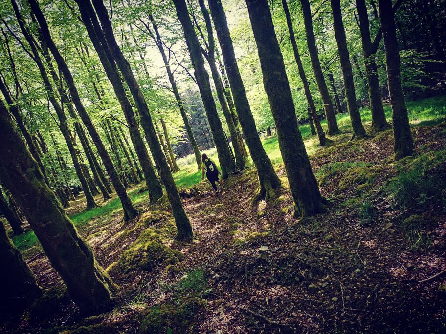 DajanaGotal's tweet photo. Little escape into the woods 💞#KeeperHill #ireland #hikingadventures #hike @DiscoverIreland https://t.co/R2KjOfpQok