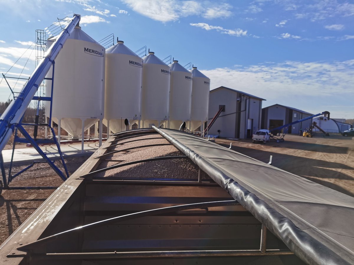 NewEraAg15's tweet image. Work doesn't stop! Another busy day at New Era Ag getting pea seed prepped for treatment. #vibrancemaxx