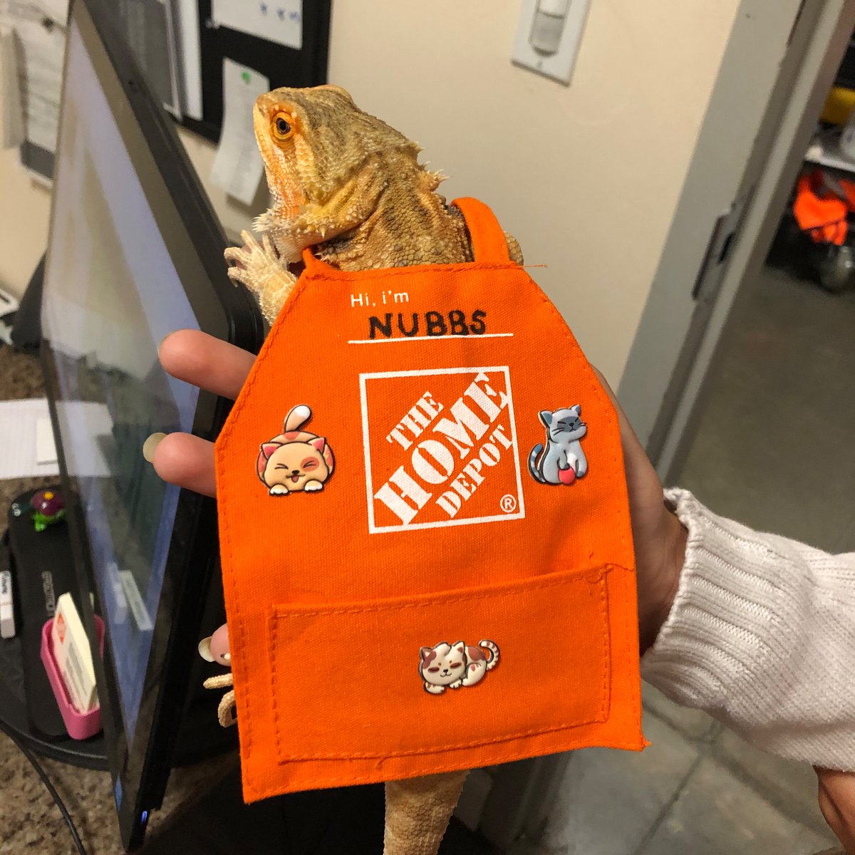 JaxBeachTHD6974 tweet media