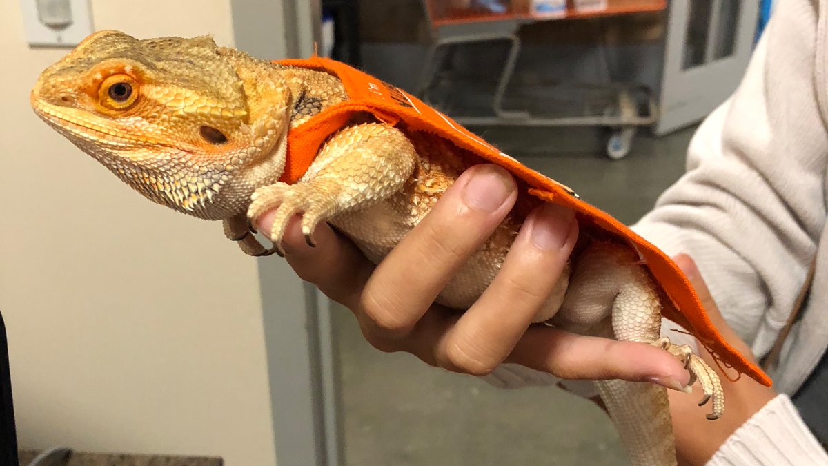 JaxBeachTHD6974 tweet media