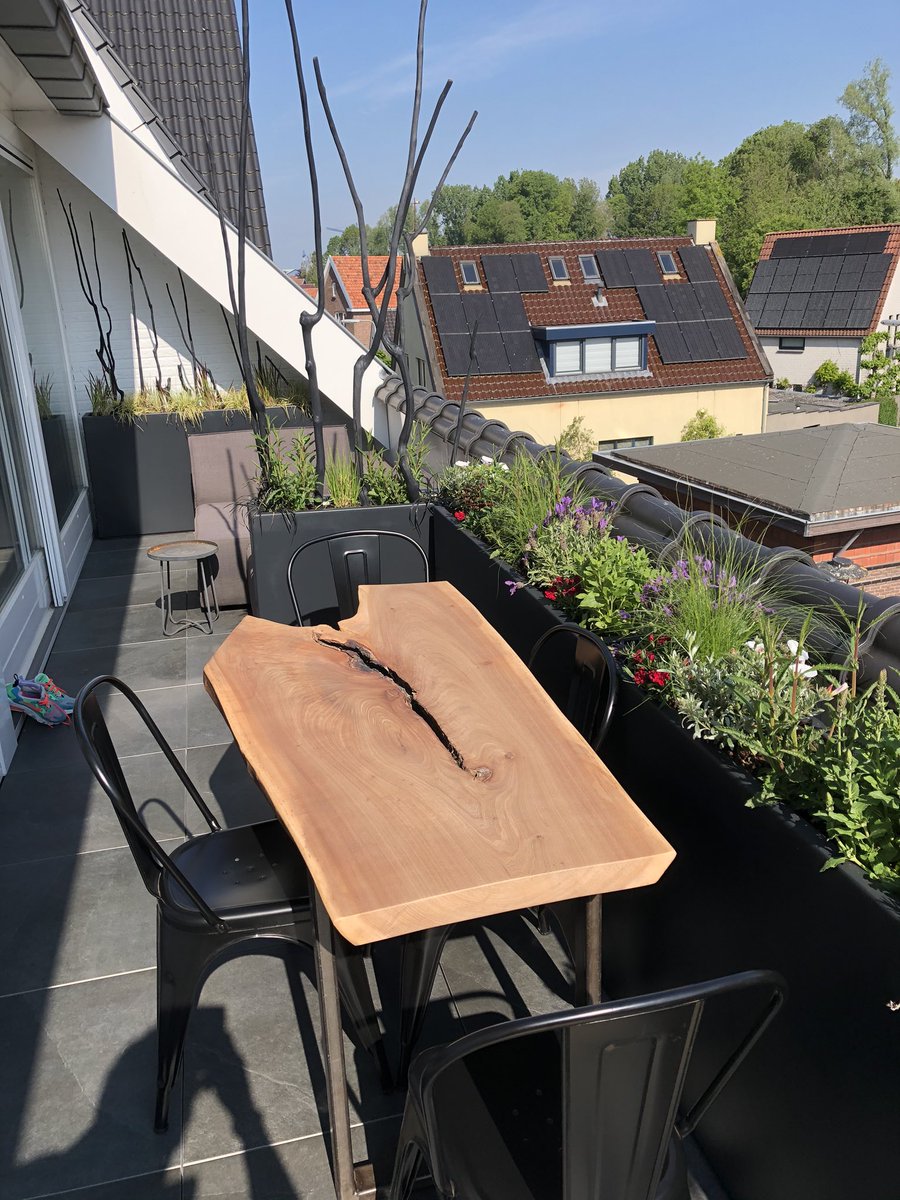 TuinenBuiten's tweet photo. Super balkon gemaakt te #Druten #gardendesign #genieten https://t.co/AMZsUhmLsR