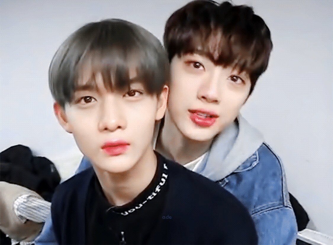 라이관린 사랑해 🌿💫 tweet media