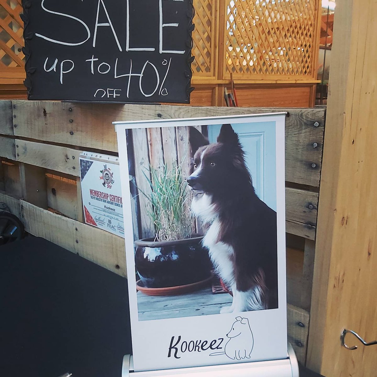 Happy Dog Mom Day! Up to 40% off TODAY ONLY We can have your order ready 4 payment & pick up!Legal....While quantities last, pick up only,  offline shopping only etc

#myosfm #dogs #treat #dogbone #dogsofyeg #yeg #shoplocalyeg #DogMomsDay #dogsoftwitter #dogmom #yegcc #pets