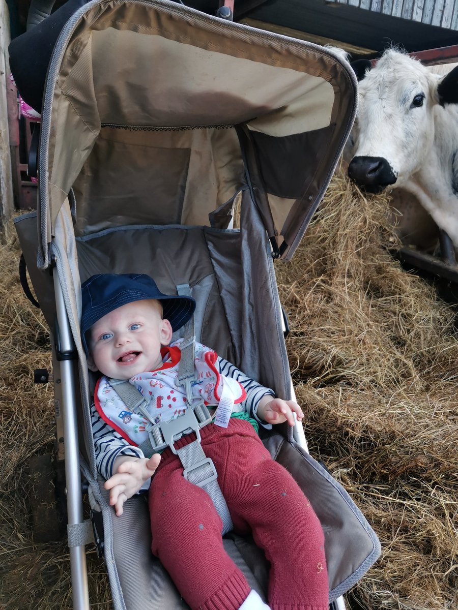 Feeding up with our little helper after a day trading <a href="/altrinchammkt/">Altrincham Market</a> #babystanley #farmboy #britishwhites
